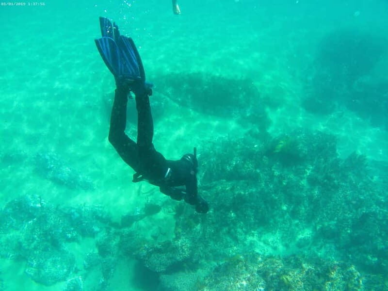 From Sesimbra: Sea Scooter Snorkeling boat Tour - Who Is This Tour Best For?