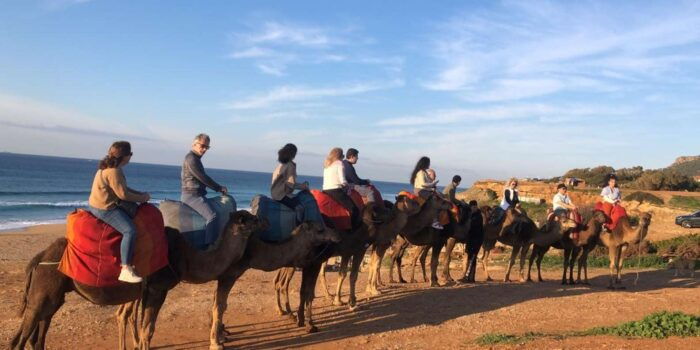 From Sevilla: Private Tangier Tour - Taking in Moroccan Culture and Tradition