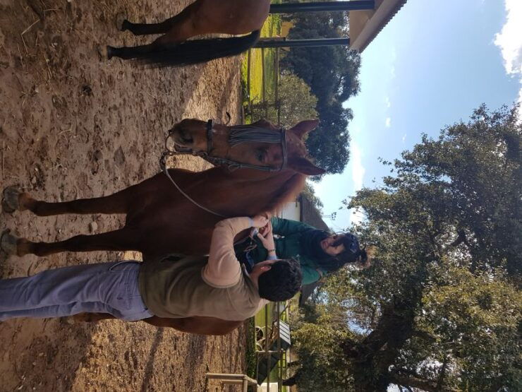 From Seville: 1.5H Horseback Riding Experience in Aljarafe - Booking and Payment Information