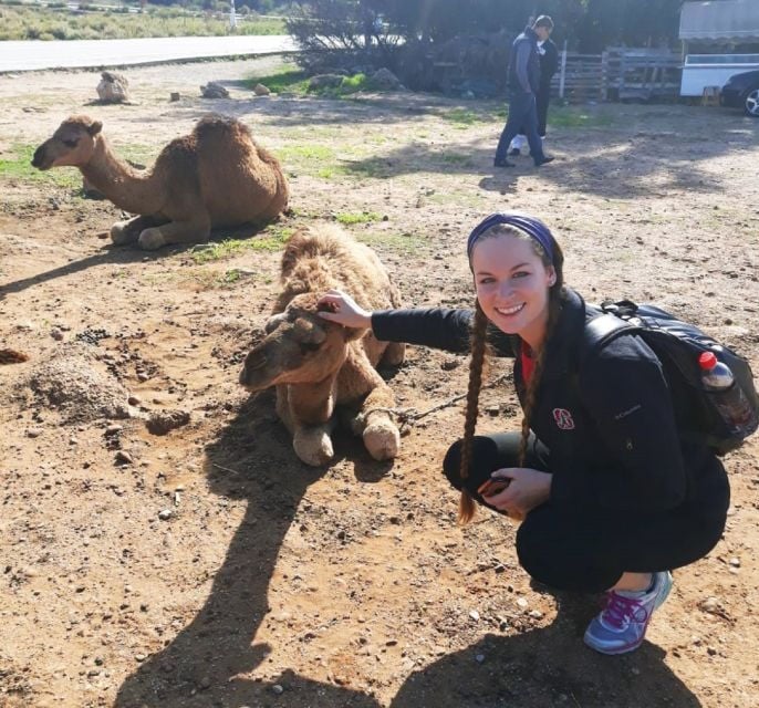 From Seville: 2-Day Trip to Tangier - Experience Highlights