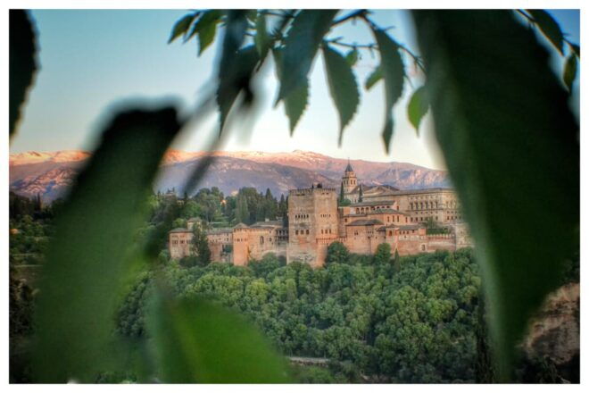 From Seville: Alhambra & Albaicín Private Tour - Participant Information