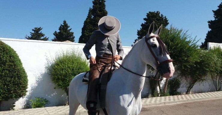From Seville: Andalusian Horseback Ride - Activity Details