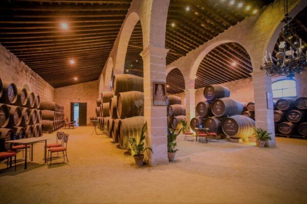 From Seville: Cadiz and Jerez De La Frontera Day Trip - History of Cadiz and Jerez