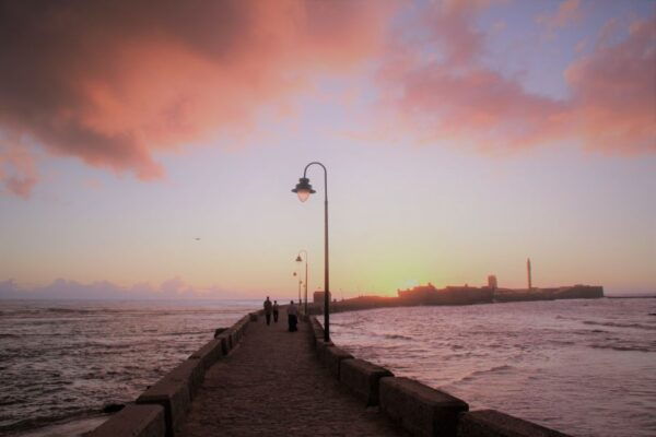 From Seville: Cadiz and Jerez De La Frontera Day Trip - Tour Itinerary