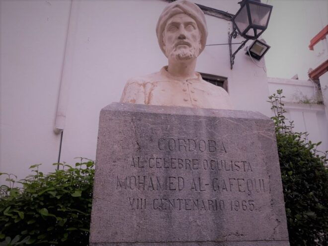 From Seville: Córdoba and Carmona Full-Day Tour - Enjoy Stunning Views and Natural Wonders