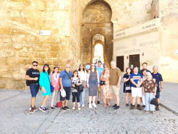 From Seville: Córdoba and Carmona Full-Day Tour - Customer Reviews and Recommendations