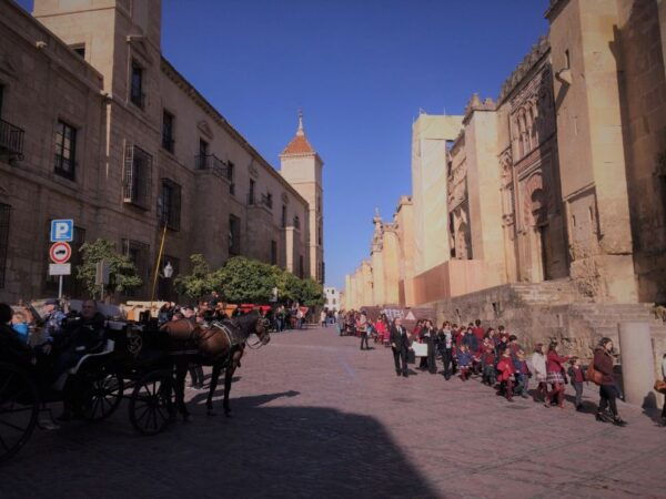 From Seville: Córdoba and Carmona Full-Day Tour - The Sum Up