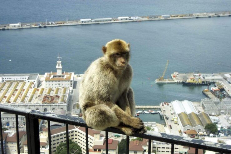 From Seville: Day Trip to Gibraltar - Activity Details