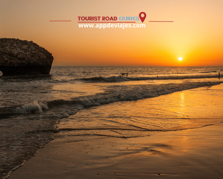From Seville: Doñana & Sunset at Matalascañas Beach - Itinerary and Transportation