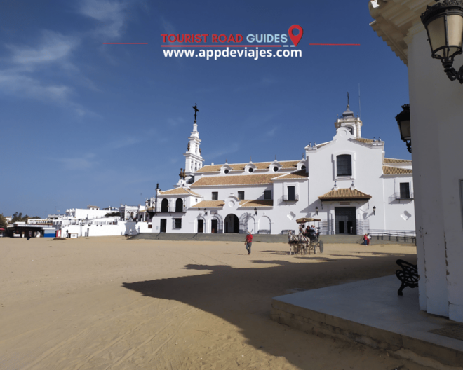 From Seville: Doñana & Sunset at Matalascañas Beach - Exploring Doñana National Park
