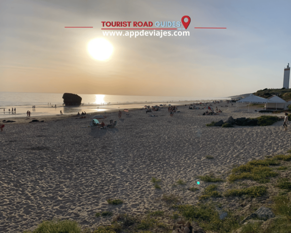 From Seville: Doñana & Sunset at Matalascañas Beach - Booking and Cancellation Policy