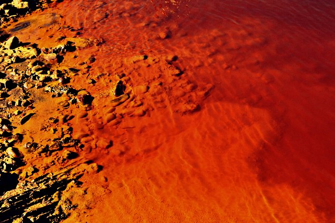 From Seville: Expedition To "Mars" Private Full-day Tour - Transportation Details