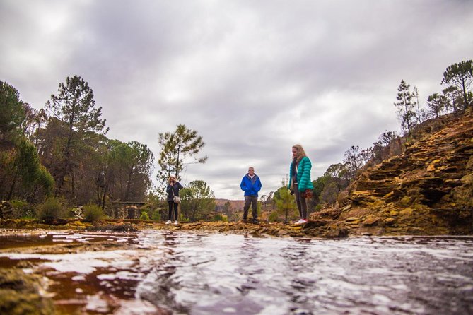 From Seville: Expedition To "Mars" Private Full-day Tour - Booking and Pricing Information