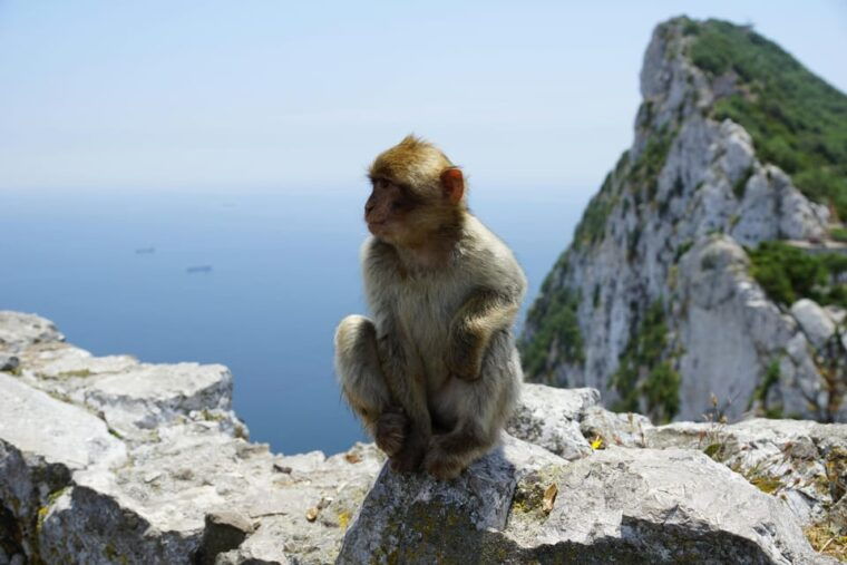 From Seville: Gibraltar and Tangier 2-Day Trip With Hotel - Common Questions