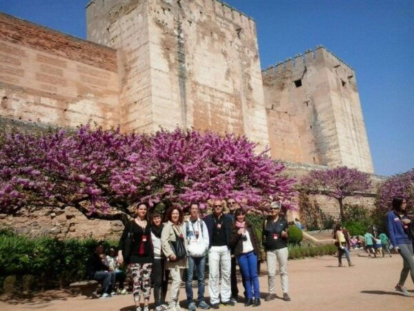 From Seville: Granada Day Trip With Alhambra and Albaicín - Transportation Details