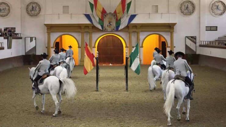 From Seville: Jerez, Cádiz and Andalusian Horses - Royal Andalusian School of Equestrian Art