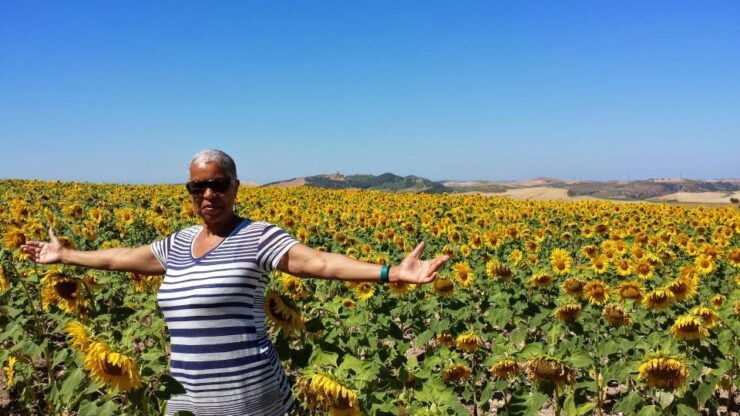 From Seville: Private Day Trip to Ronda and Malaga - Experience Rondas Charm