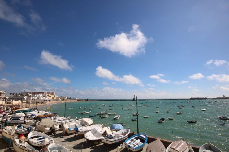 From Seville: Private Guided Day Trip to Cádiz and Jerez - Activity Details