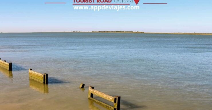 From Seville: Private Tour Doñana & Christopher Columbus - Tour Overview