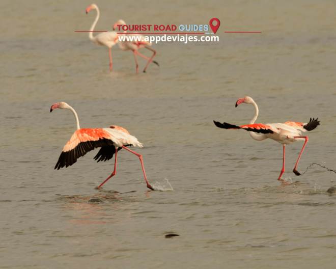 From Seville: Private Tour Doñana & Christopher Columbus - Additional Services