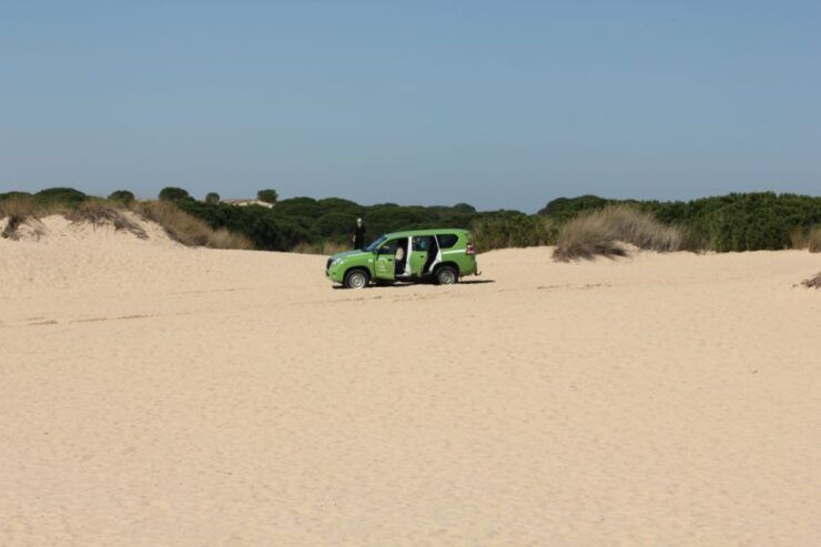From Seville: Private Tour Doñana Park, El Rocio & Beach - Tour Details
