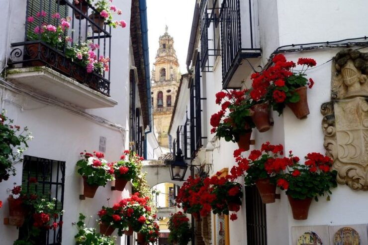 From Seville: Private Transfer to Granada and Córdoba Tour - Booking and Logistics Details