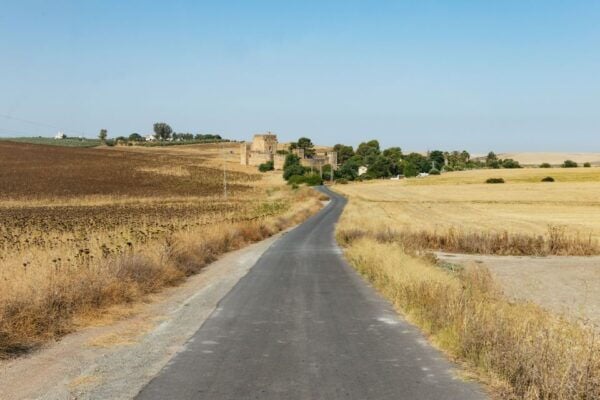 From Seville: Pueblos Blancos and Ronda Full-Day Trip - Discover the Charm of Ronda