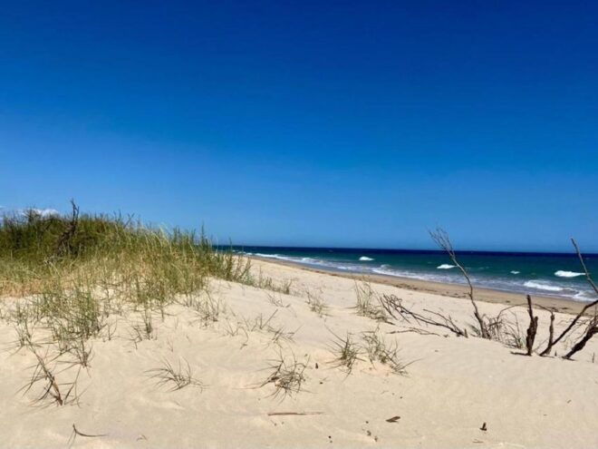 From Seville to the Algarve;Guided, Private Scenic Road Trip - Not Suitable For