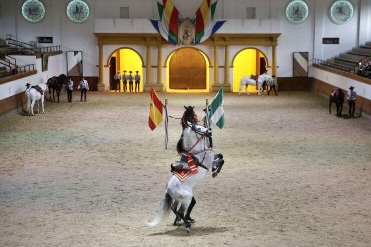 From Seville: Tour of Jerez With Horse Show & Wine Tasting - Activity Details