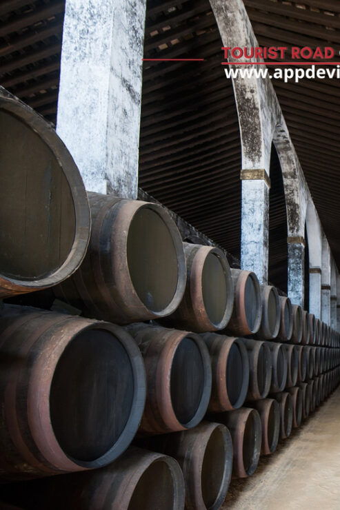 From Seville: Tour Private Brandy De Jerez & Yeguada - Itinerary Highlights
