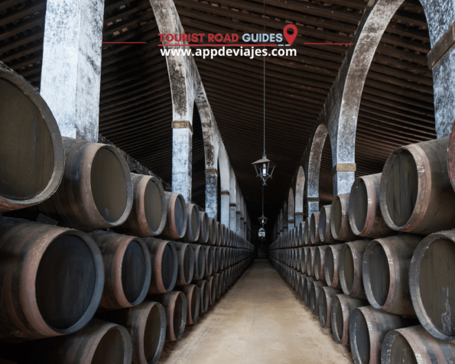 From Seville: Tour Private Brandy De Jerez & Yeguada - Royal Andalusian School