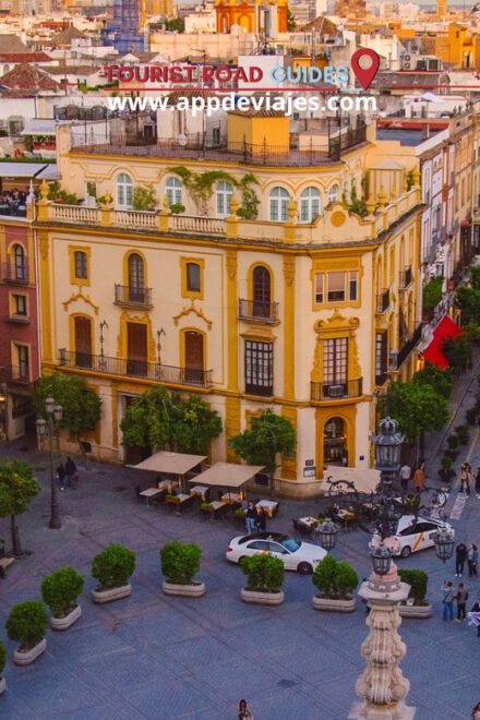 From Seville: Tour Private Secadero of Iberian Ham & Seville - Seville Cathedral and La Giralda