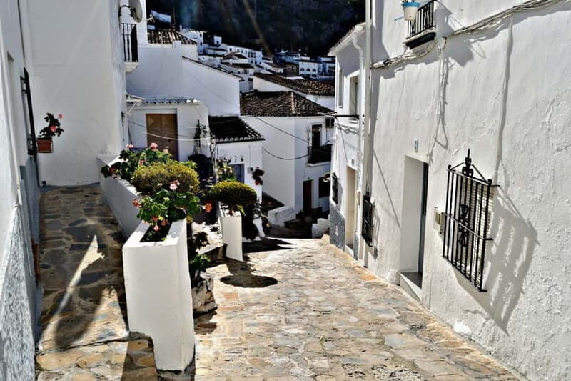 From Seville: White Villages and Ronda private day trip - Transportation and Group Dynamics