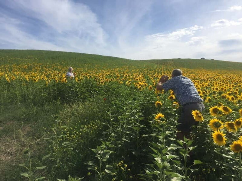 From Seville: White Villages and Ronda private day trip - What to Expect and Practical Tips