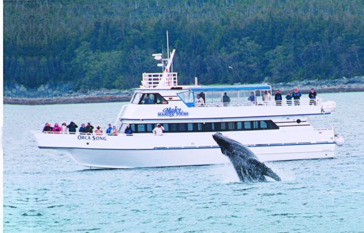 From Seward: Half-Day Resurrection Bay Wildlife Cruise Tour - Activity Details