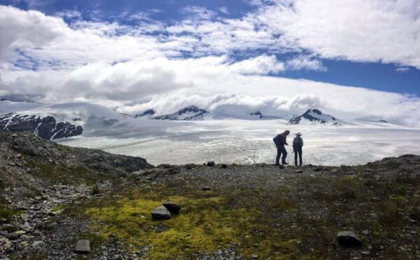 From Seward: Harding Icefield Trail Hiking Tour - Directions