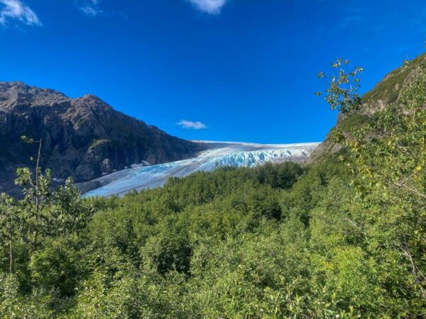 From Seward: Harding Icefield Trail Hiking Tour - Common Questions