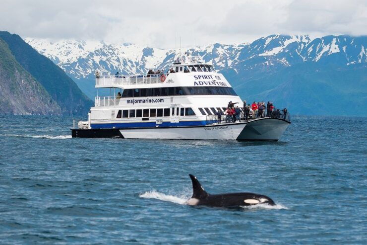 From Seward: Kenai Fjords National Park Cruise With Lunch - Activity Details
