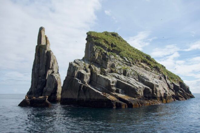 From Seward: Kenai Fjords National Park Cruise With Lunch - Common Questions