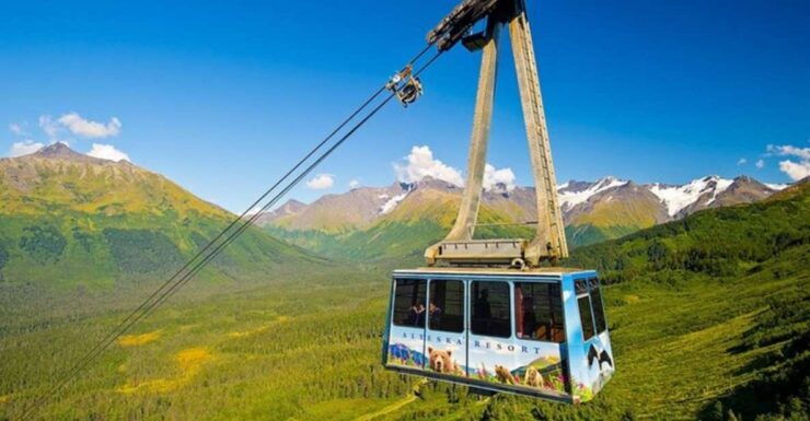 From Seward or Whittier: Guided Craft Tour and Ship Transfer - Activity Details