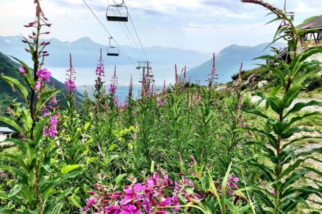 From Seward or Whittier: Guided Craft Tour and Ship Transfer - Anchorage Activities