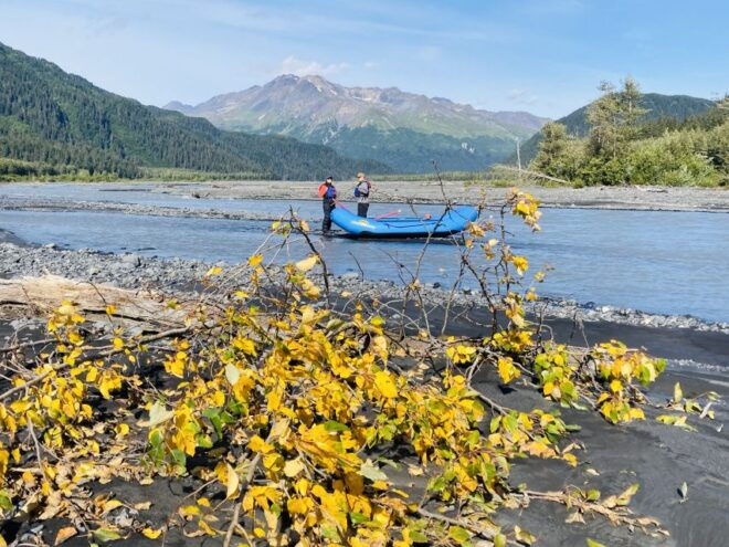 From Seward: Resurrection River Rafting Tour - Activity Details