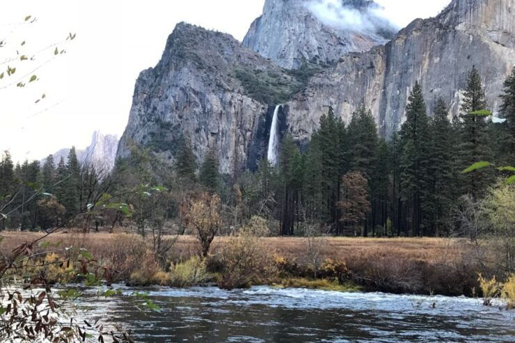 From SF: Yosemite Day Trip With Giant Sequoias Hike & Pickup - Booking Details