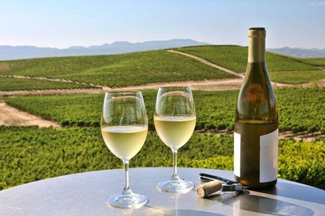 From SFO - Enchanted Napa & Sonoma Wine Tour in SUV - Tour Highlights