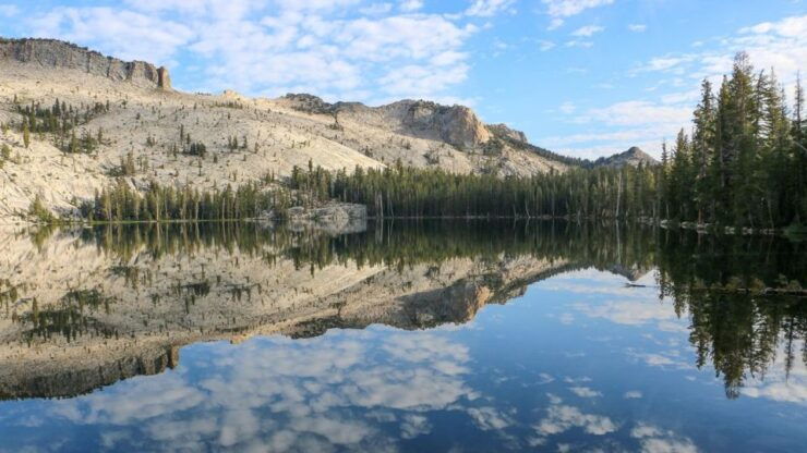 From SFO-Yosemite National Park-Enchanting Full Day Tour - Tour Description