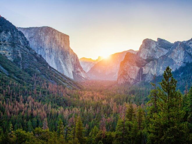From SFO-Yosemite National Park-Enchanting Full Day Tour - Free Time Exploration