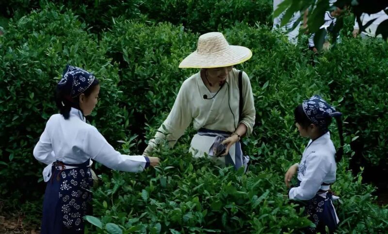 From Shanghai: 7-Day Tour to Huangshan, Hangzhou & Wuzhen - Good To Know