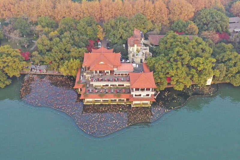 From Shanghai: Hangzhou Private Day Trip by Bullet Train - Wrapping Up and Returning to Shanghai