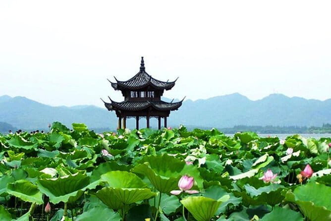 From Shanghai: Hangzhou Private Day Trip by Bullet Train - Is This Tour Worth It?