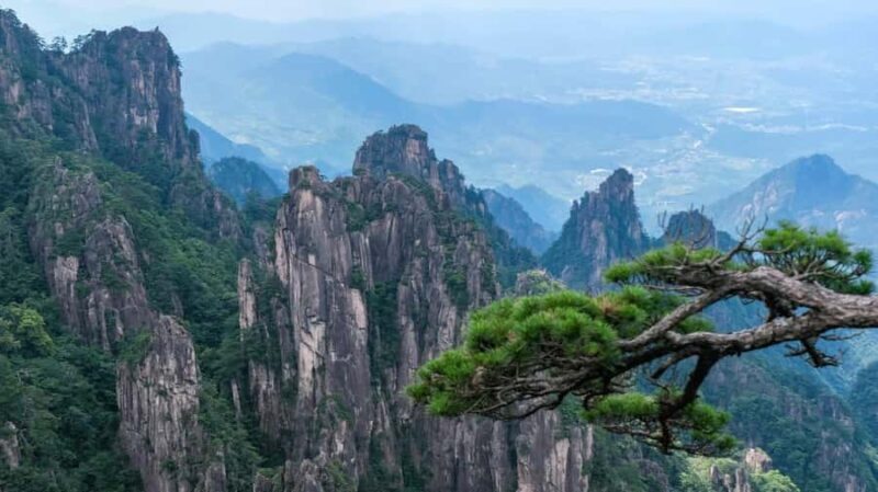 From Shanghai: Huangshan Private Day Trip by High-Speed Rail - Who Should Consider This Tour?